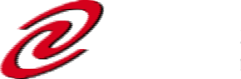 logo of digitalchina